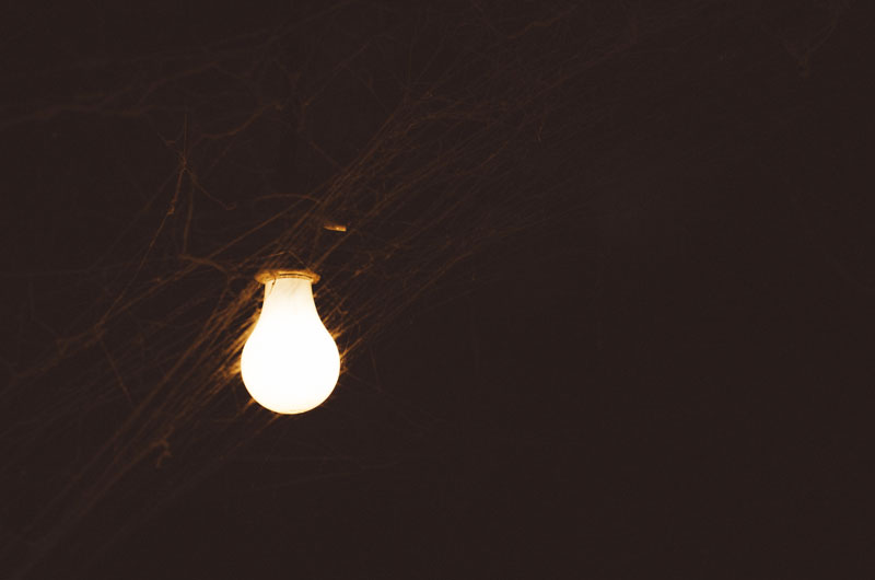 Cobwebs around a lightbulb